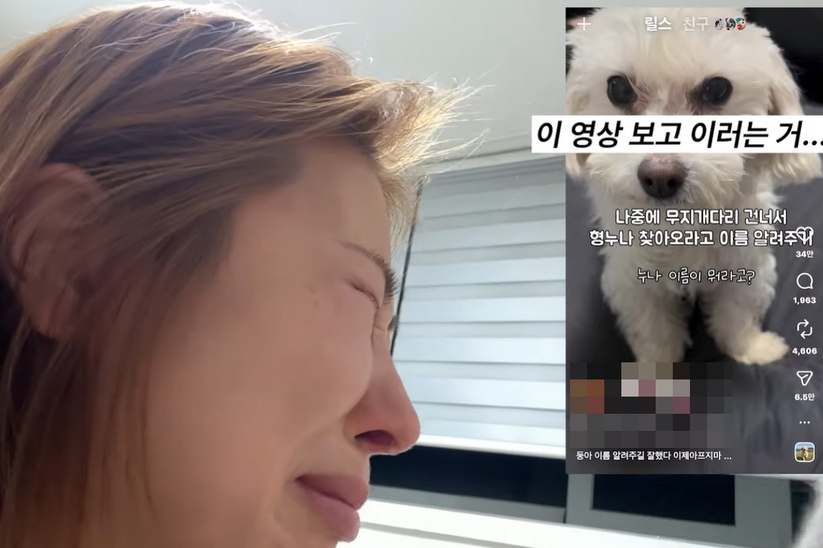 출처: 유튜브 채널 ‘안녕하세미’ 캡처