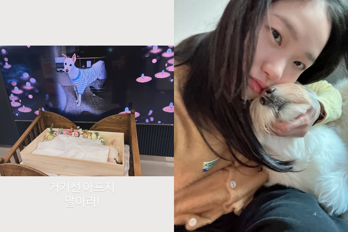 출처: 김고은 SNS