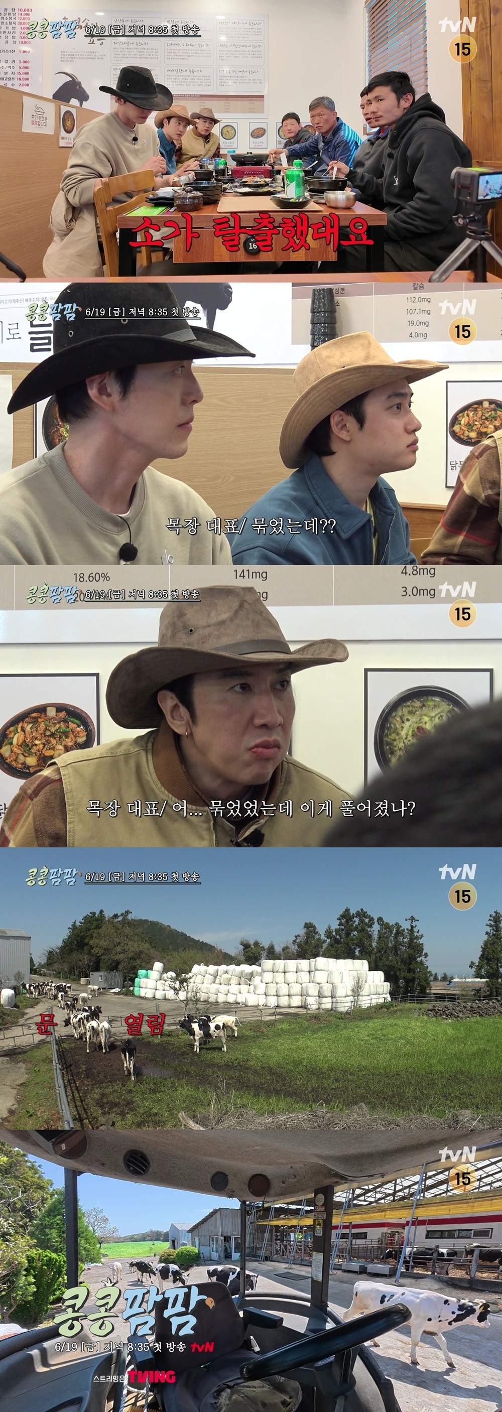 콩콩팜팜