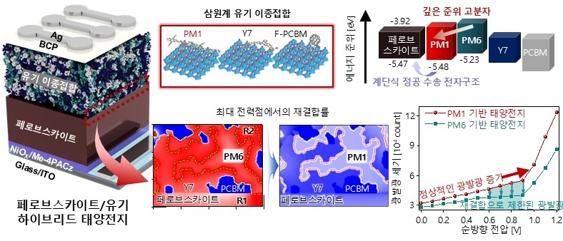 정공 전달 계단구조 설계 원리. 기존 PM6 기반 태양전지는 정공이 계면에 쌓여 S자형 전류 왜곡과 성능 저하가 발생했다. 연구팀은 PM1 고분자를 도입해 정공이 단계적으로 이동하는 전자구조를 구현했고, 이를 통해 전하 재결합을 줄여 고효율과 장기 안정성을 동시에 확보했다. 한국연구재단