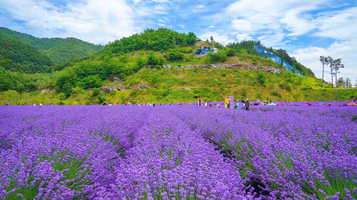 초여름