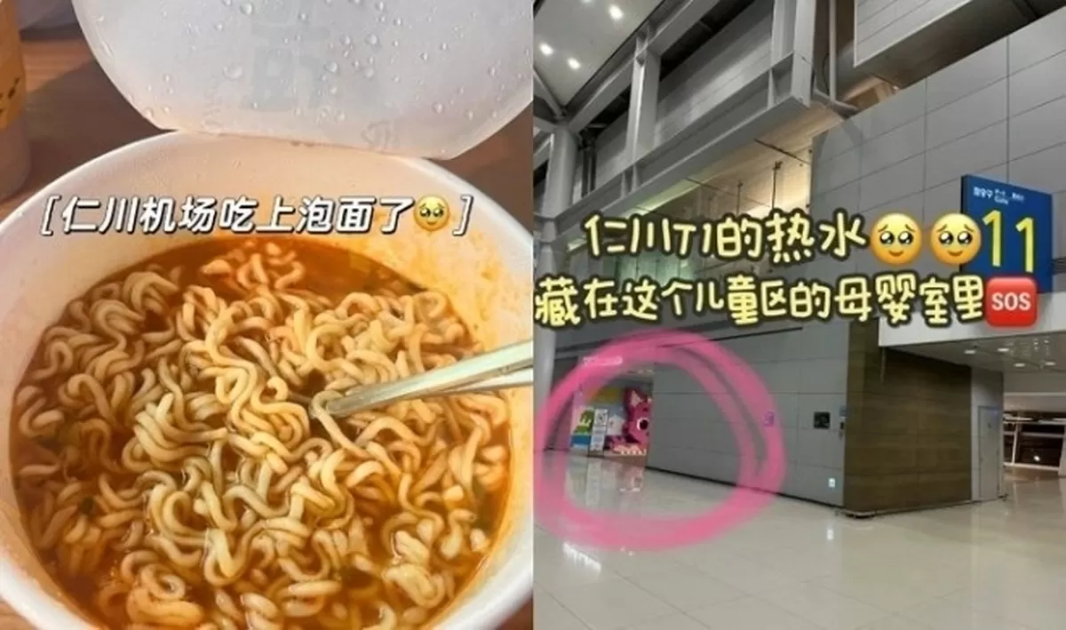 引用：小紅書