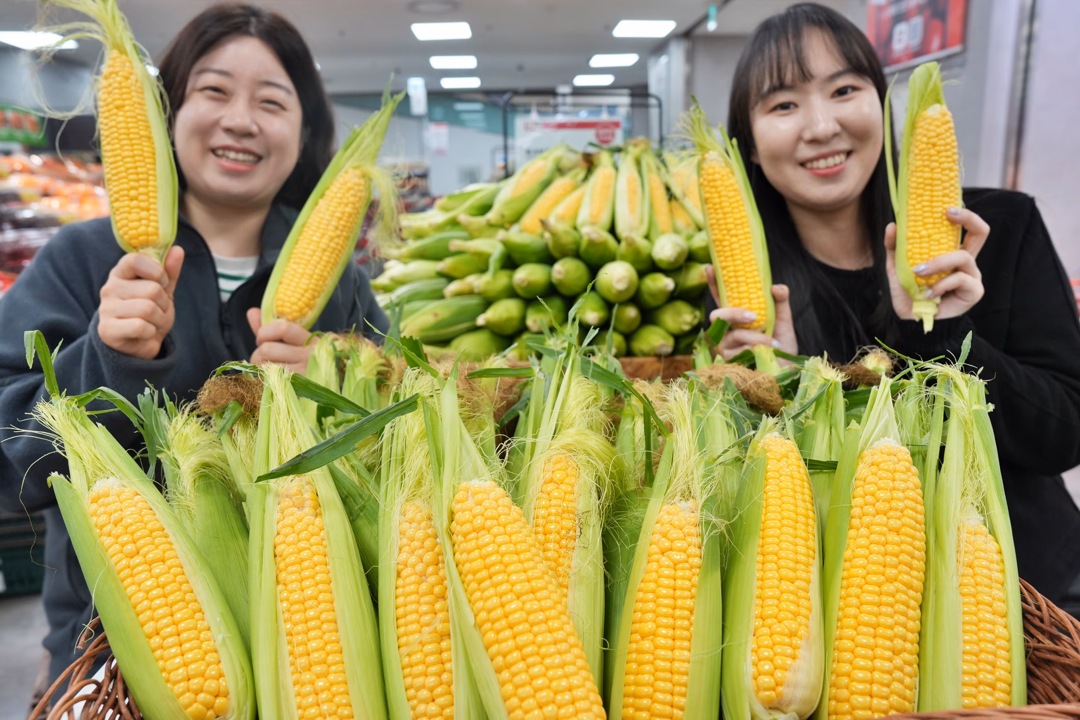 여름철 간식으로 인기가 많은 초당옥수수를 대형마트 MD들이 선보이고 있다. /롯데마트슈퍼 제공