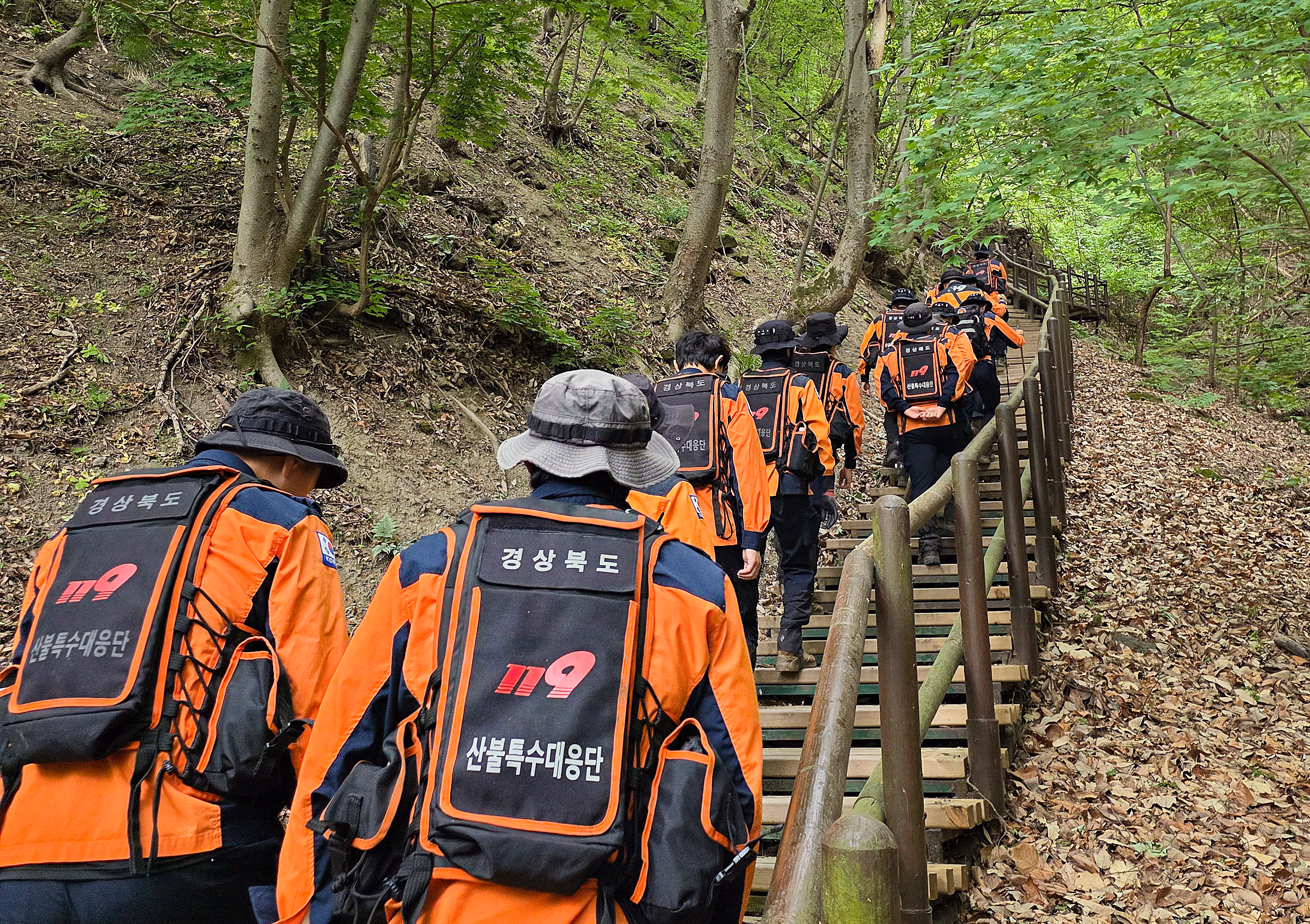 12일 오전 경북 산불특수대응단을 비롯한 경북소방 관계자들이 청송군 주왕산국립공원에서 실종된 13세 초등학생을 찾기 위한 수색을 재개하고 있다. /경북소방본부 제공