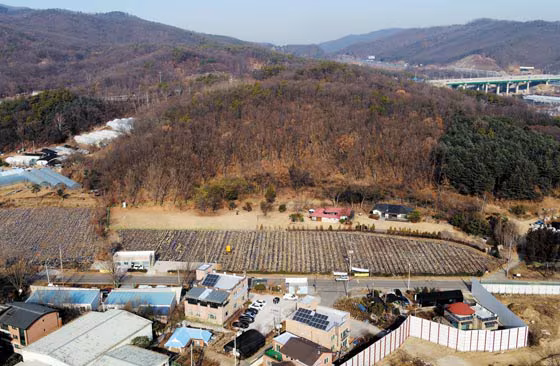 토지 전경. /조선DB