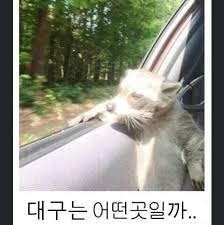 24b0d121e09c28a8699fe8b115ef046a756eeccc