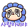 사람X