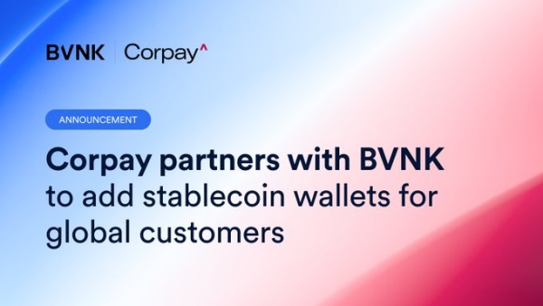 결제기업 코페이가 BVNK와 협력해 스테이블코인 정산 시스템을 도입한다. [사진: BVNK 엑스]
