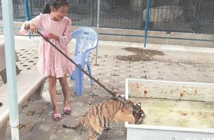 애니멀플래닛