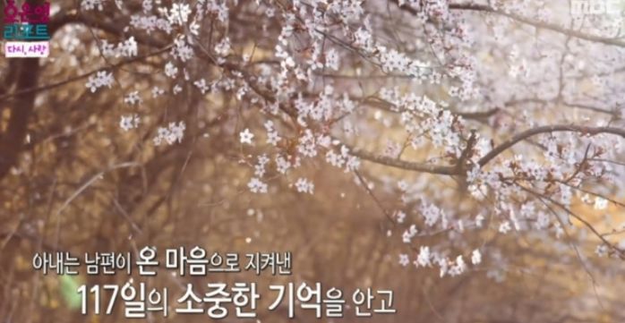 애니멀플래닛