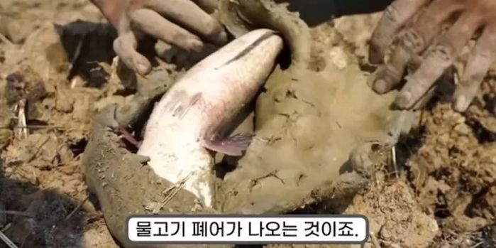 애니멀플래닛