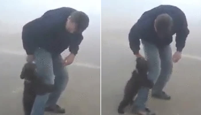 애니멀플래닛