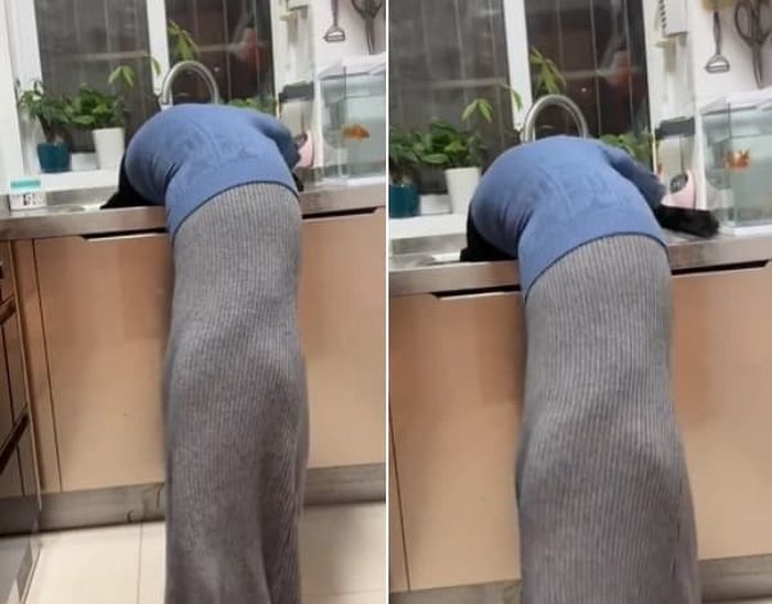 애니멀플래닛
