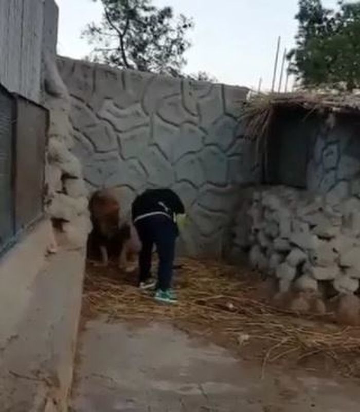 애니멀플래닛