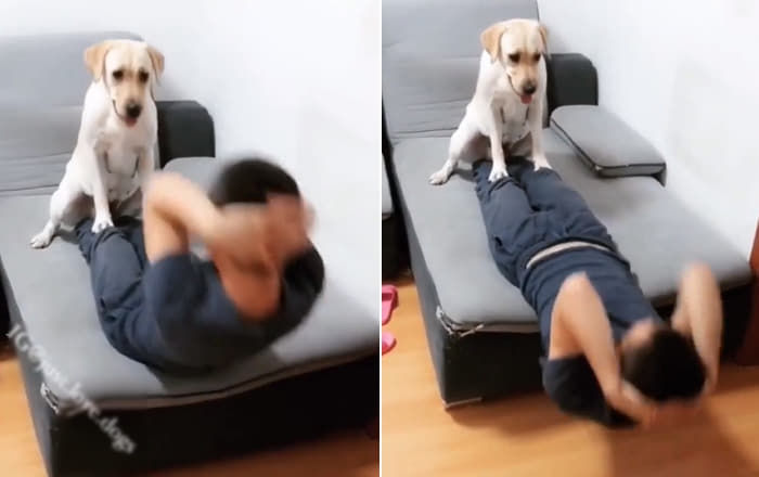 애니멀플래닛