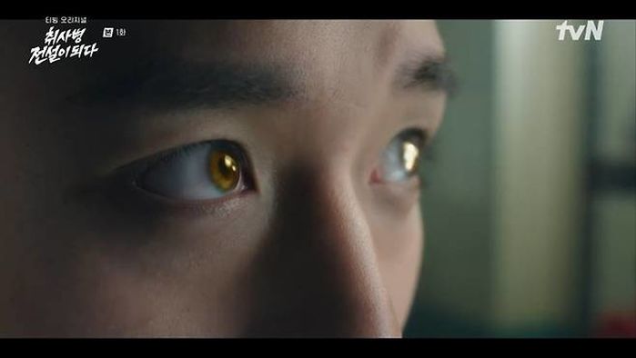 애니멀플래닛