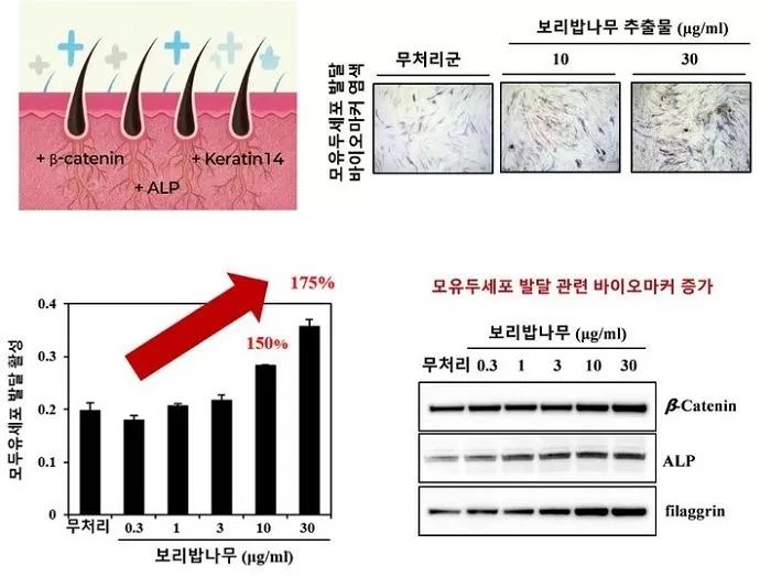 애니멀플래닛