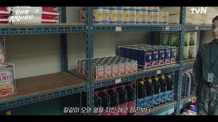 애니멀플래닛