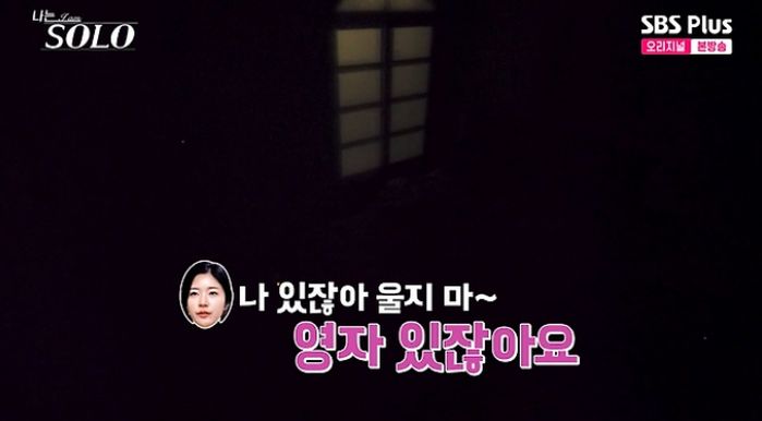 애니멀플래닛