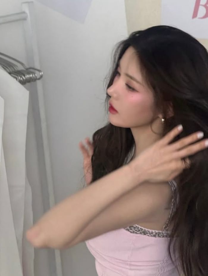 애니멀플래닛