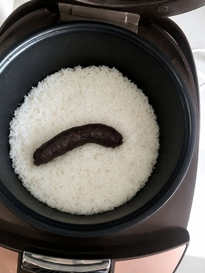 애니멀플래닛
