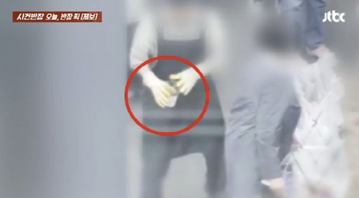 애니멀플래닛