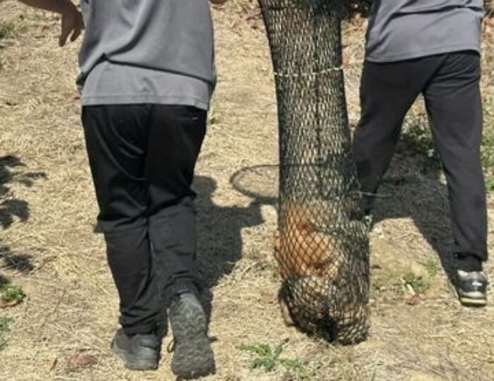 애니멀플래닛