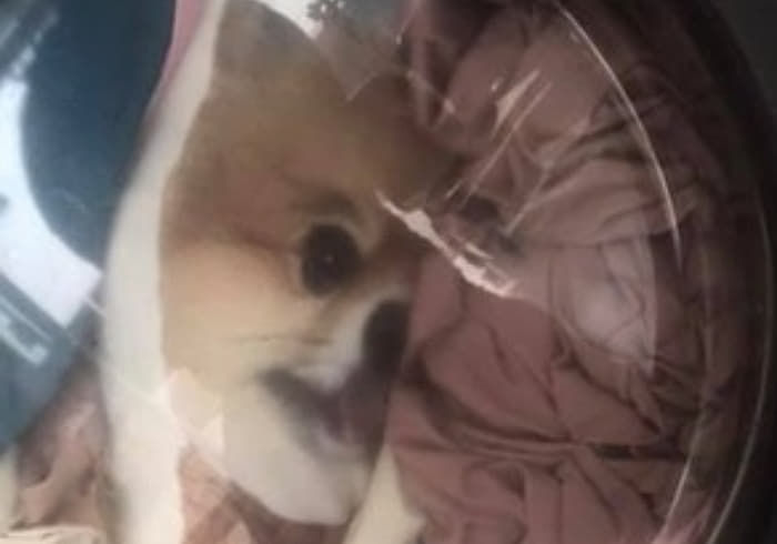애니멀플래닛