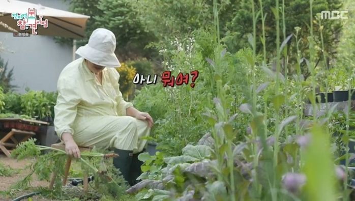 애니멀플래닛