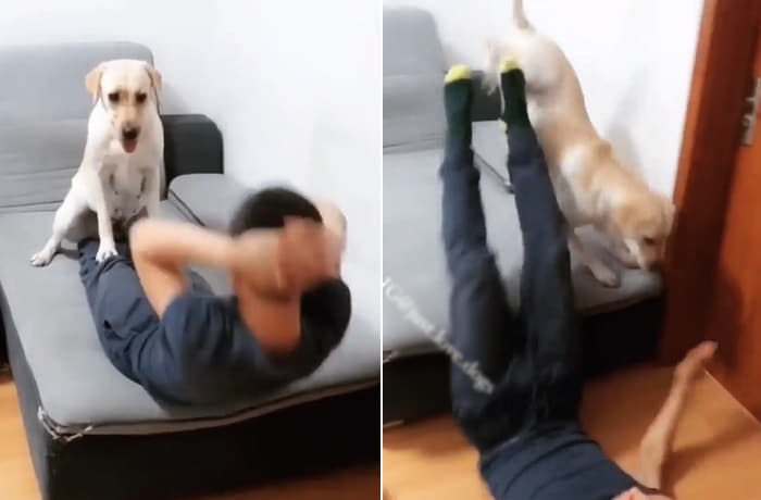애니멀플래닛