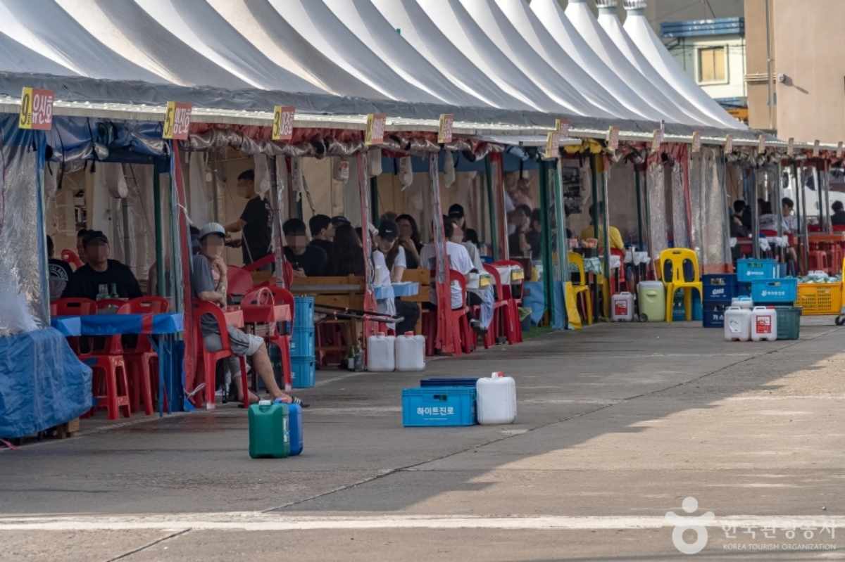그날 잡아 당일로 맛 볼수 있는 속초 동명항 오징어 난전 / 사진=한국관광콘텐츠랩