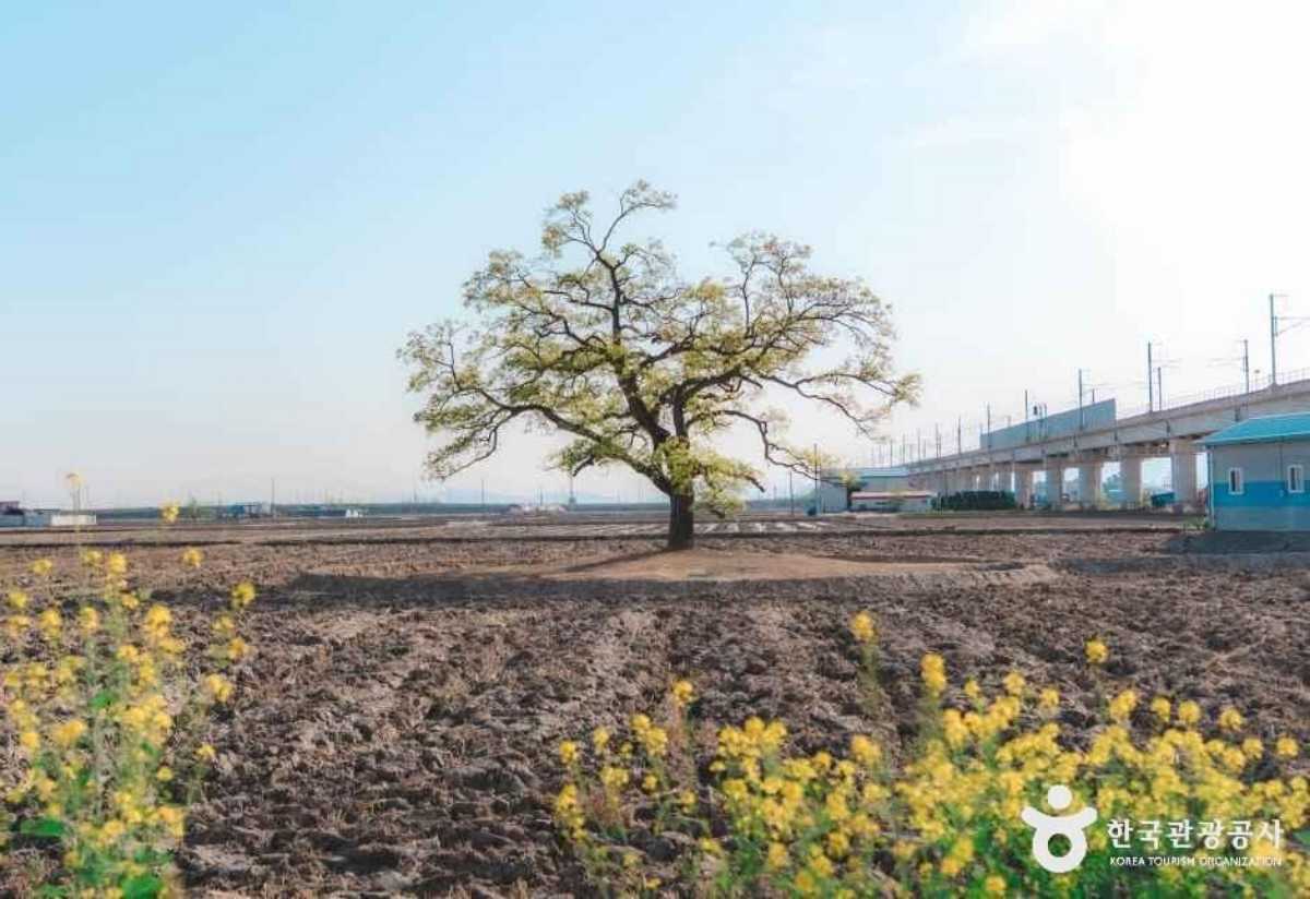 사진=한국관광콘텐츠랩