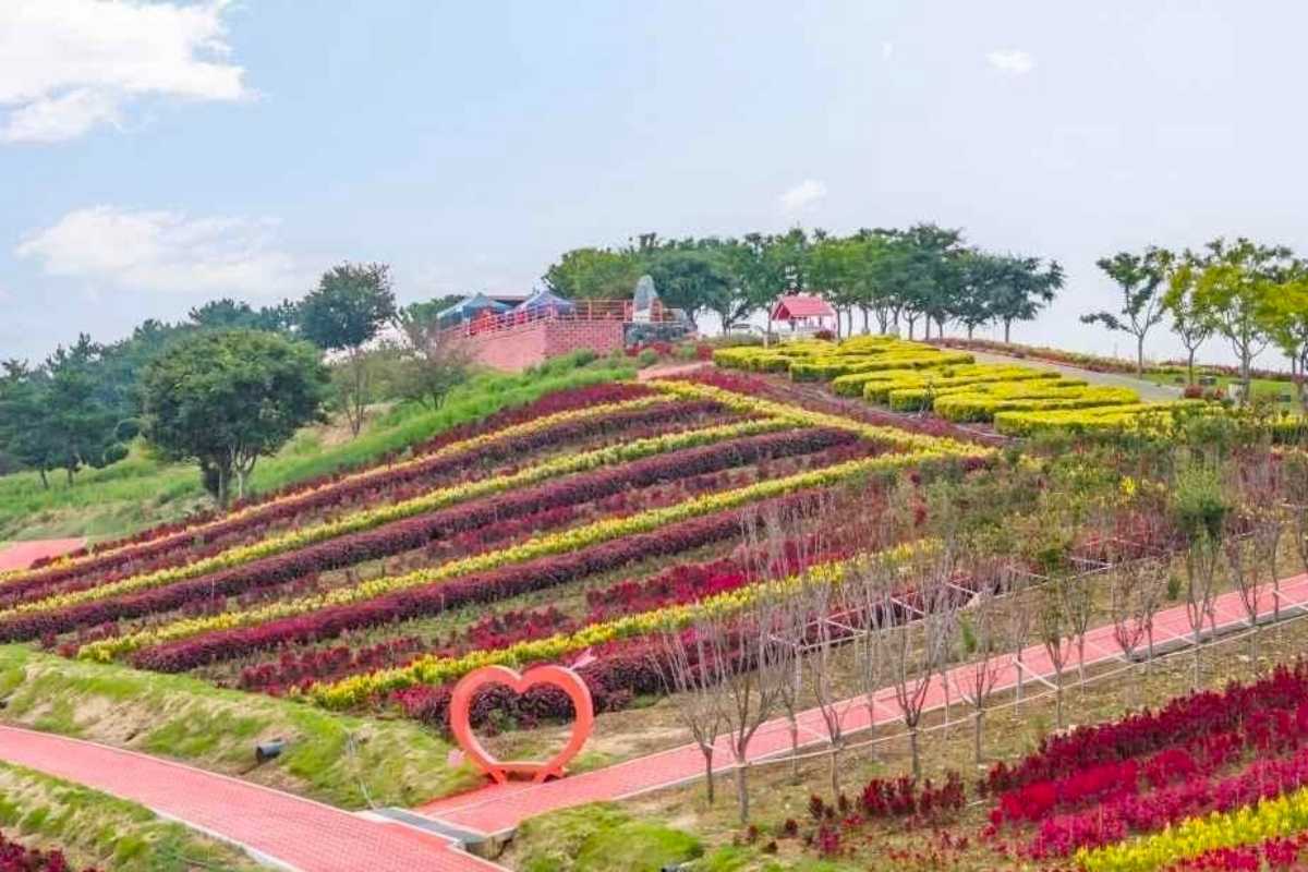 양귀비와 함께 즐기기 / 사진=한국관광콘텐츠랩
