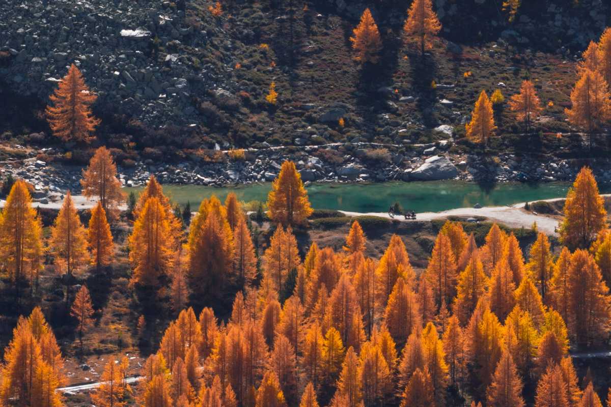 연중 서늘한 기온을 유지하는 스위스 체르마트 / 사진=unsplash@Soumyadip Jana