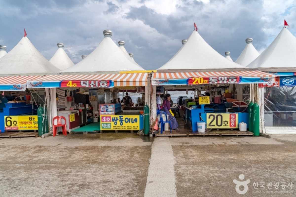 속초 오징어 난전 총정리 / 사진=한국관광콘텐츠랩