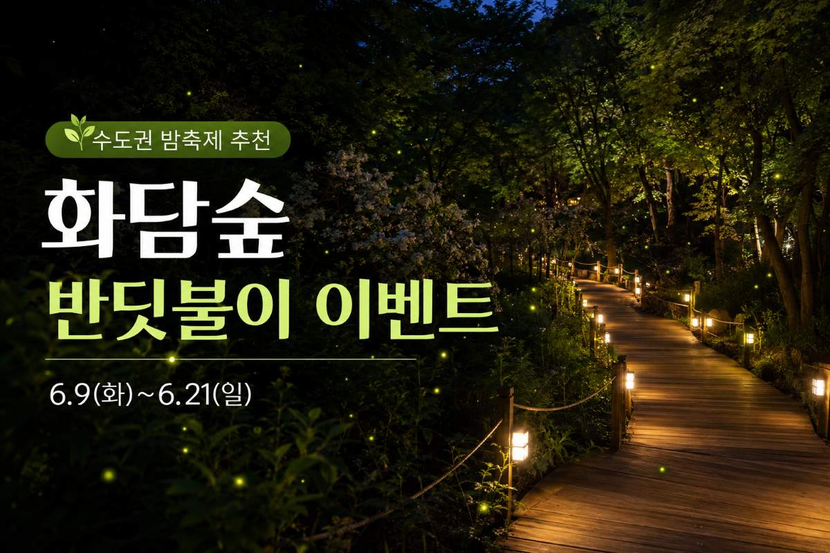 화담숲 반딧불이 이벤트 정리 (기사 이해를 돕기 위한 이미지) / ⓒ인포매틱스뷰