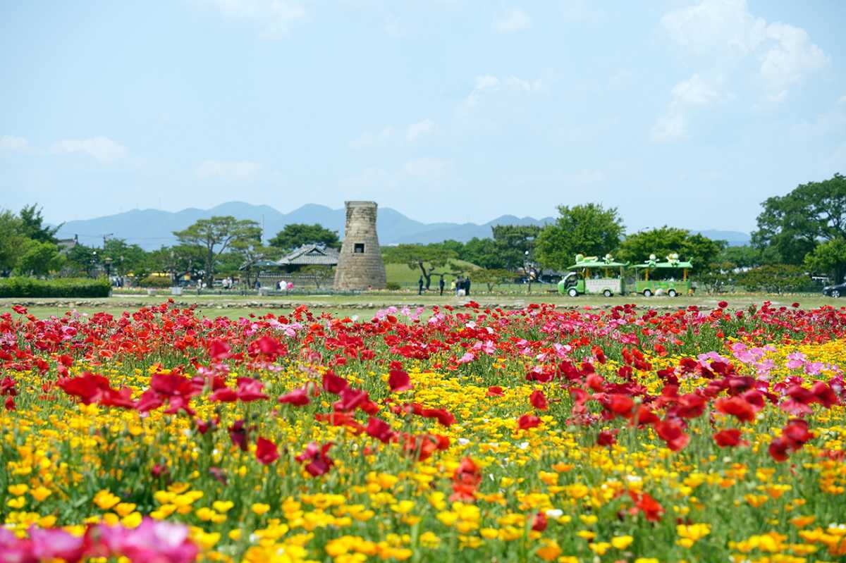 경주 여행 / 사진=경주문화관광