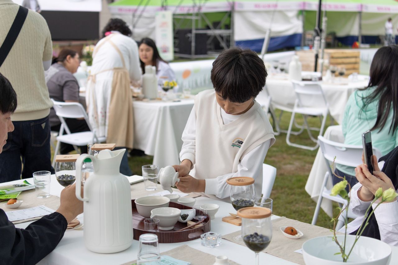 오후의 차밭을 즐기는 어린이 / 사진=보성군