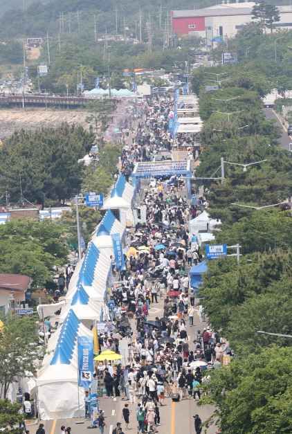 축제 일정 / 사진=한국관광콘텐츠랩