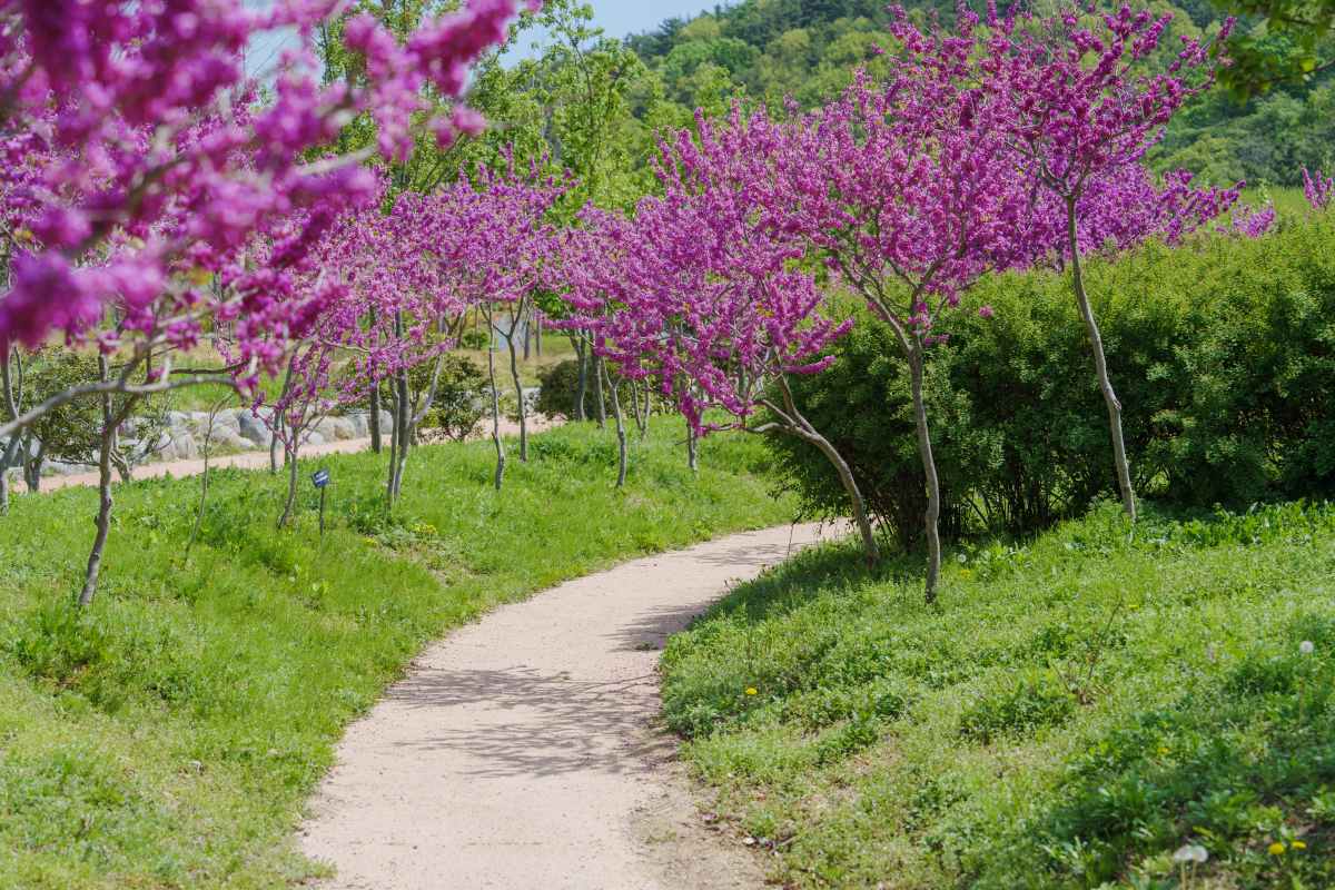 치유의 숲 / 사진=부산관광공사@하이픈그룹