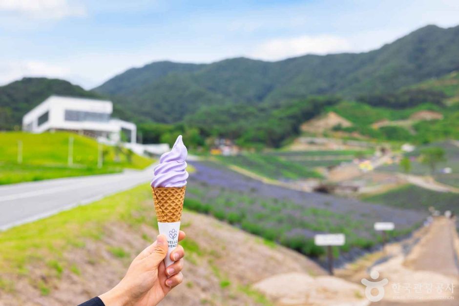 사진 꿀팁 / 사진=한국관광콘텐츠랩