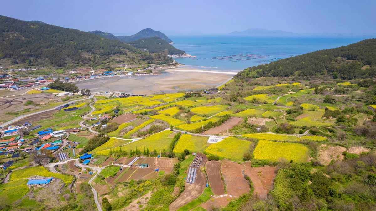 완도 청산도 / 사진=한국관광공사 포토코리아@라이브스튜디오