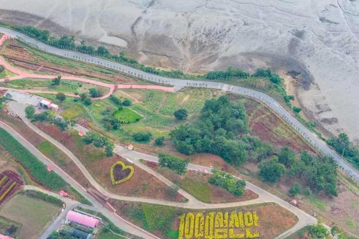 맨드라미정원 / 사진=한국관광콘텐츠랩