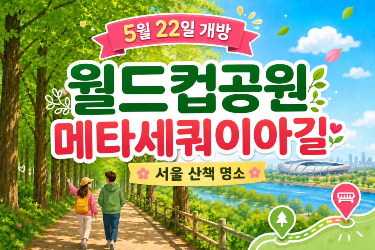 오는 22일 금요일, 서울 월드컵공원 메타세쿼이아길 전면 개방 / 인포매틱스뷰