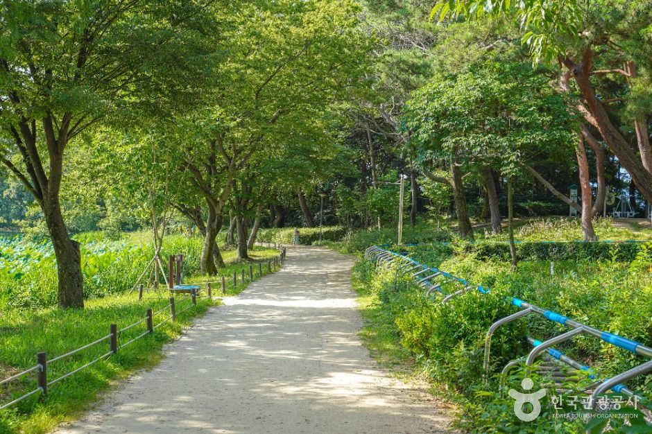 방문 팁 / 사진=한국관광콘텐츠랩