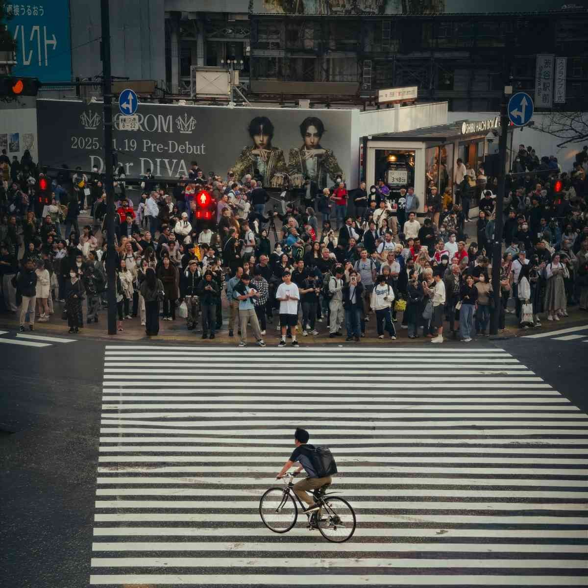 시부야 교차로 / 사진=unsplash@Patrick Nguyen