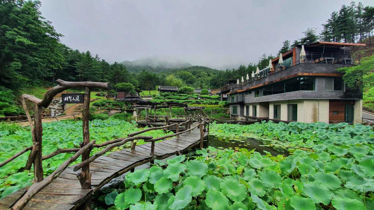 “心 연못 연꽃 무료 사찰 카페” 지리산 동남쪽 끝자락 산청 여행지 | 인포매틱스뷰