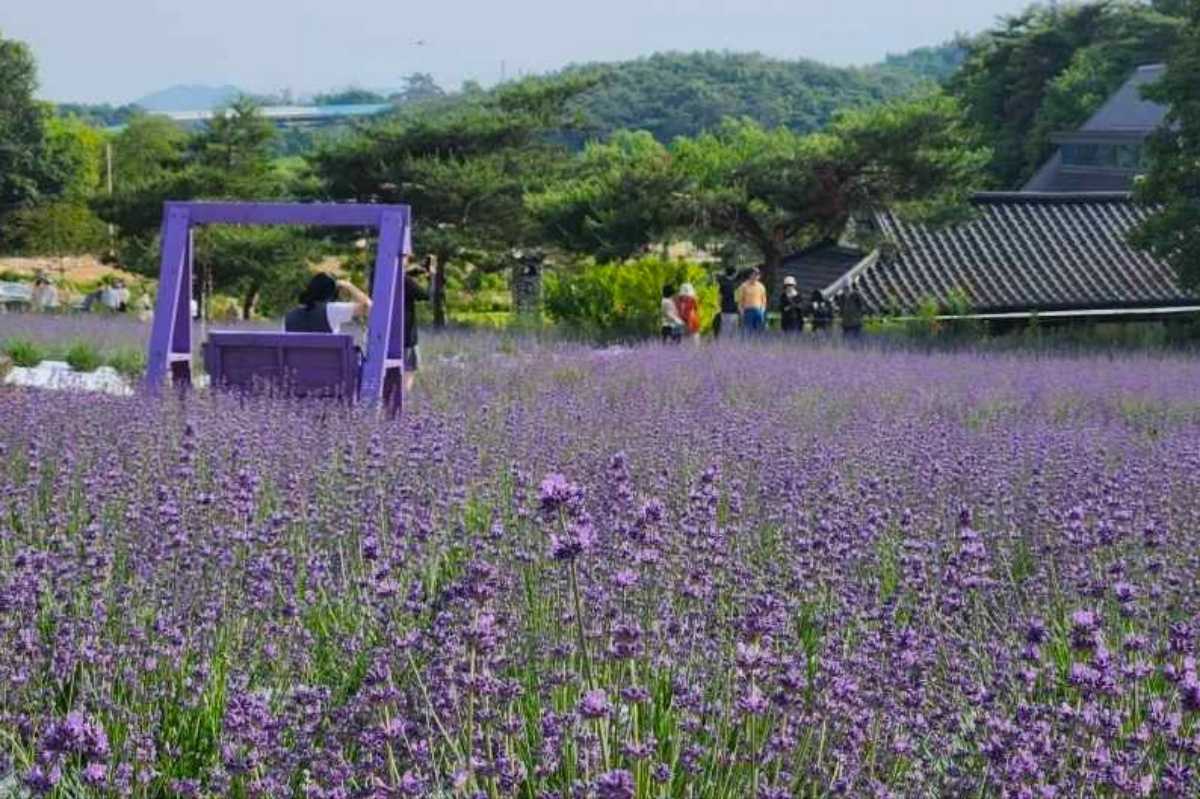 고창 청농원 / 사진=한국관광콘텐츠랩