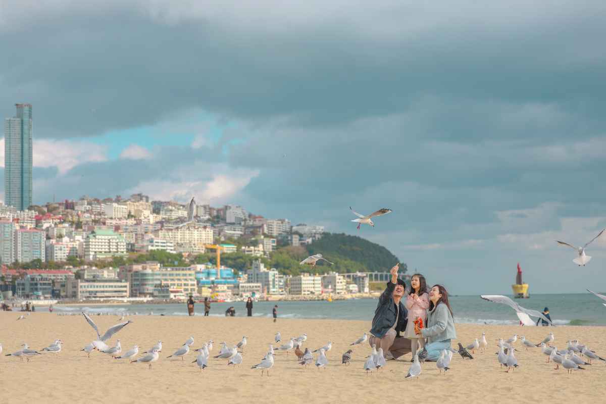 서울병 치료 부산 여행 / 사진=부산관광공사@하이픈그룹