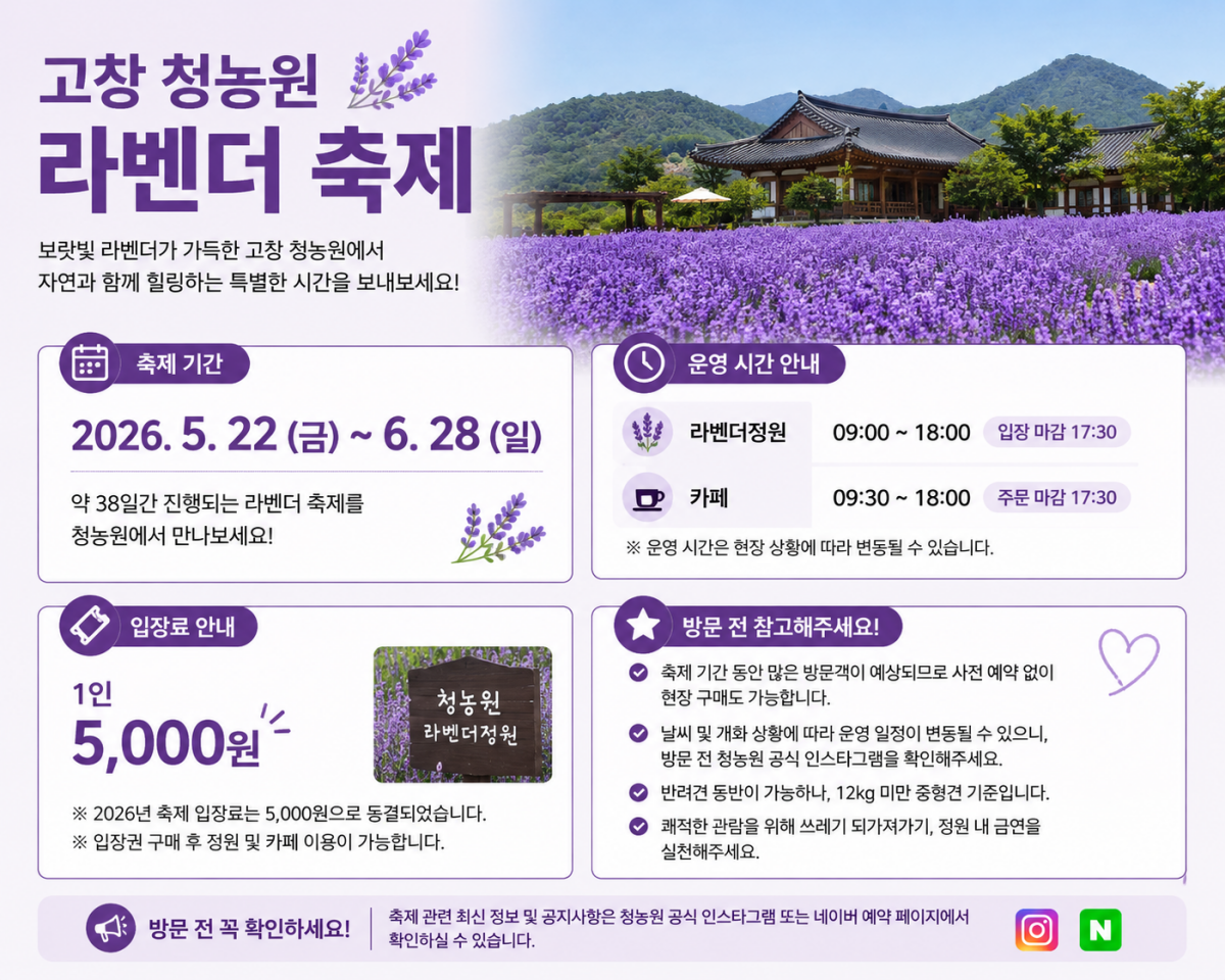 2026 고창 청농원 라벤더 축제 정보 / ⓒ인포매틱스뷰